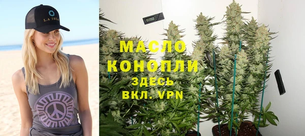 молекула духа Волоколамск