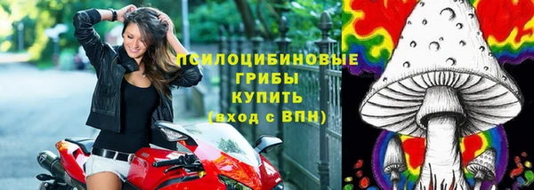 молекула духа Волоколамск
