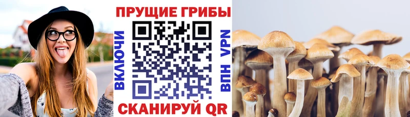 Псилоцибиновые грибы ЛСД  Купить  Лихославль 